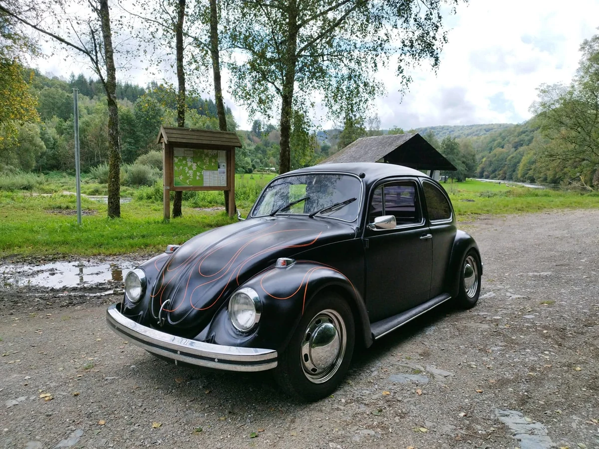 Coccinelle · Custom