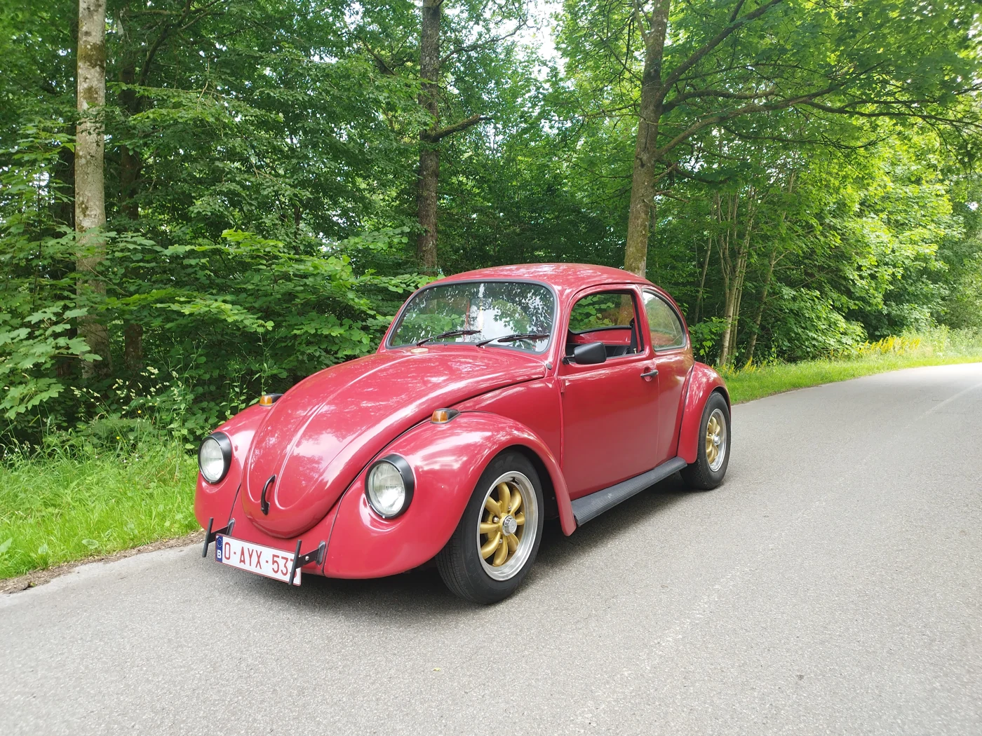 Coccinelle rouge · en extérieur