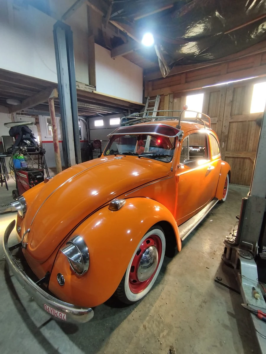 Coccinelle orange